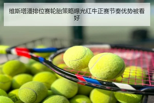 维斯塔潘排位赛轮胎策略曝光红牛正赛节奏优势被看好
